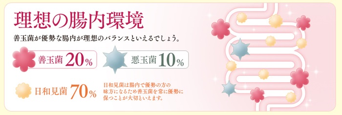 腸内環境